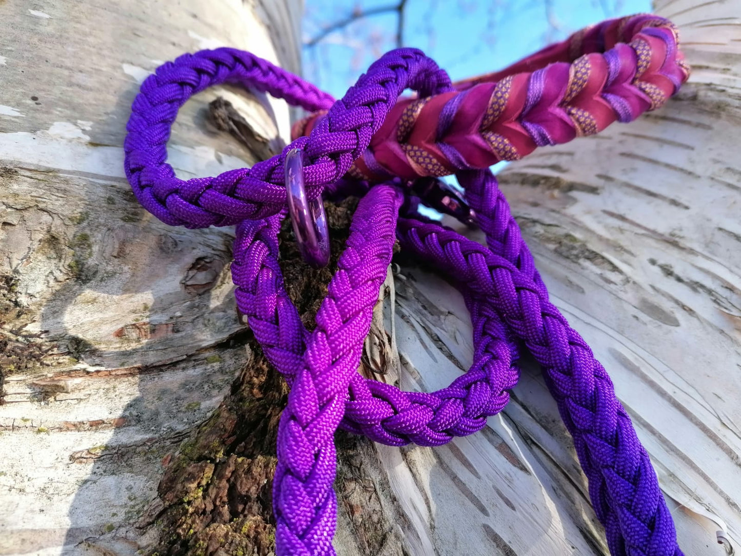 Leine "Unisono Violetta"