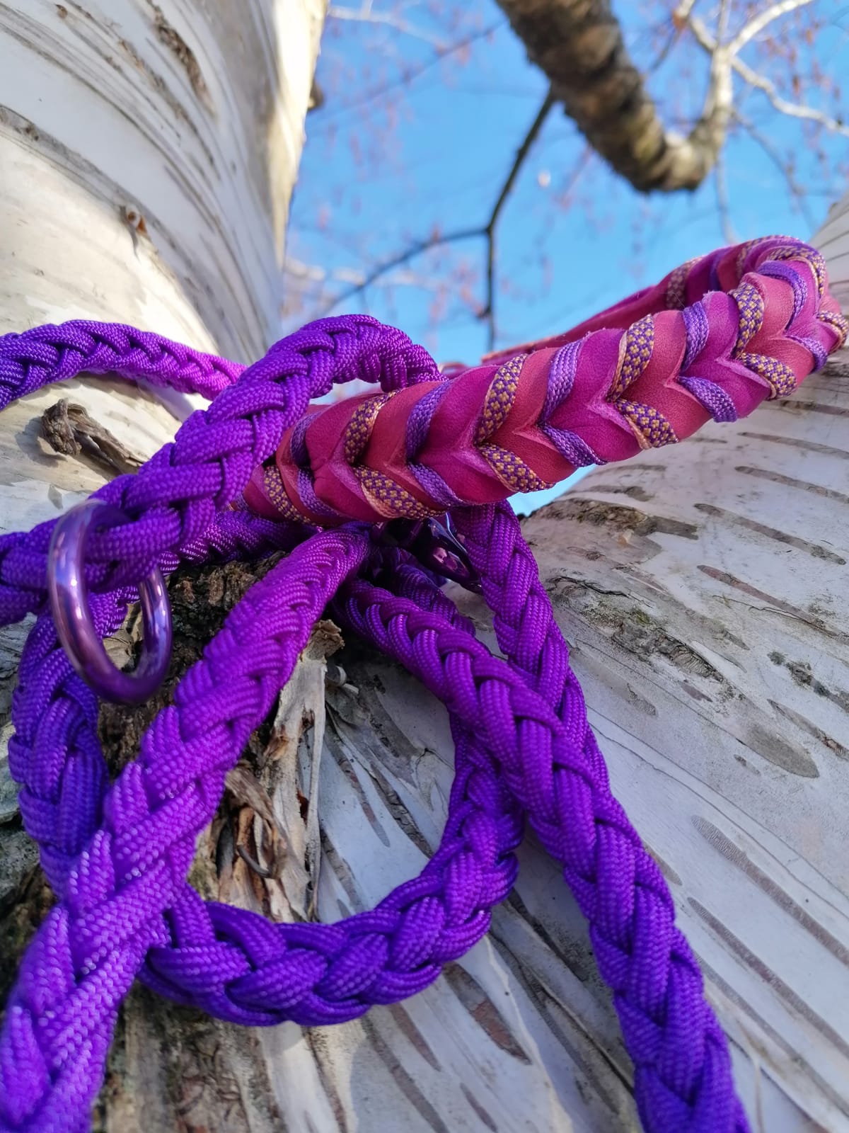Leine "Unisono Violetta"