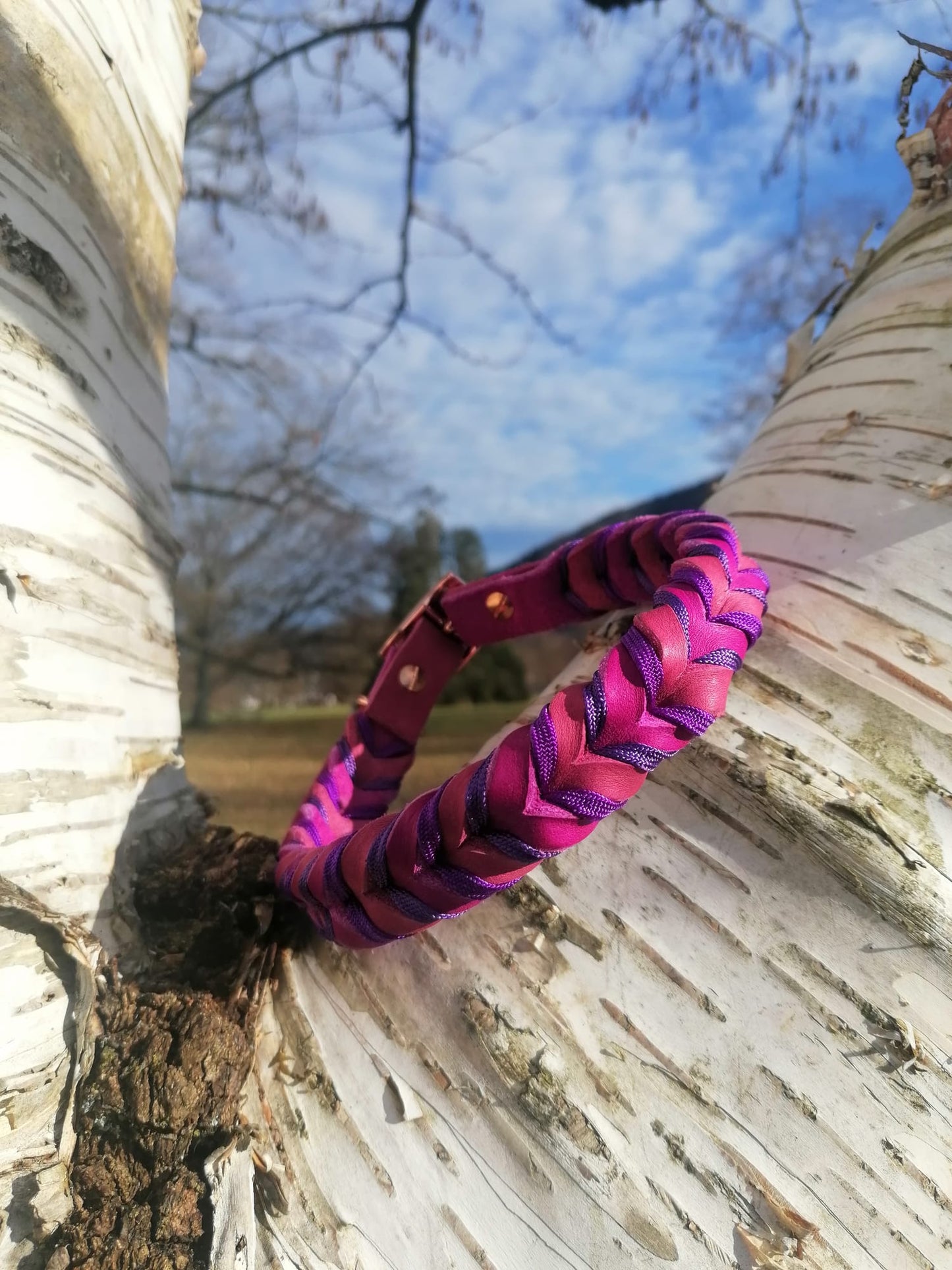 Halsband "Leder küsst Violetta"