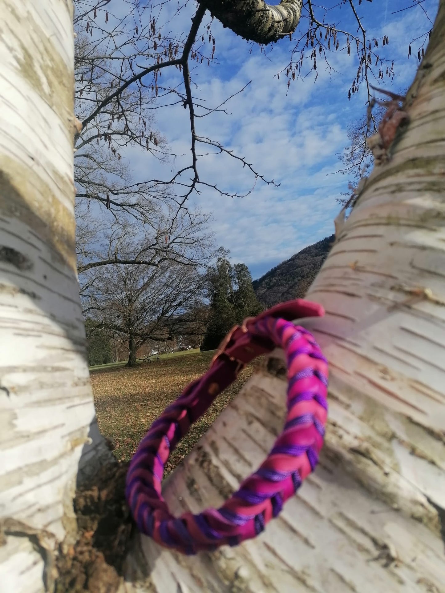 Halsband "Leder küsst Violetta"