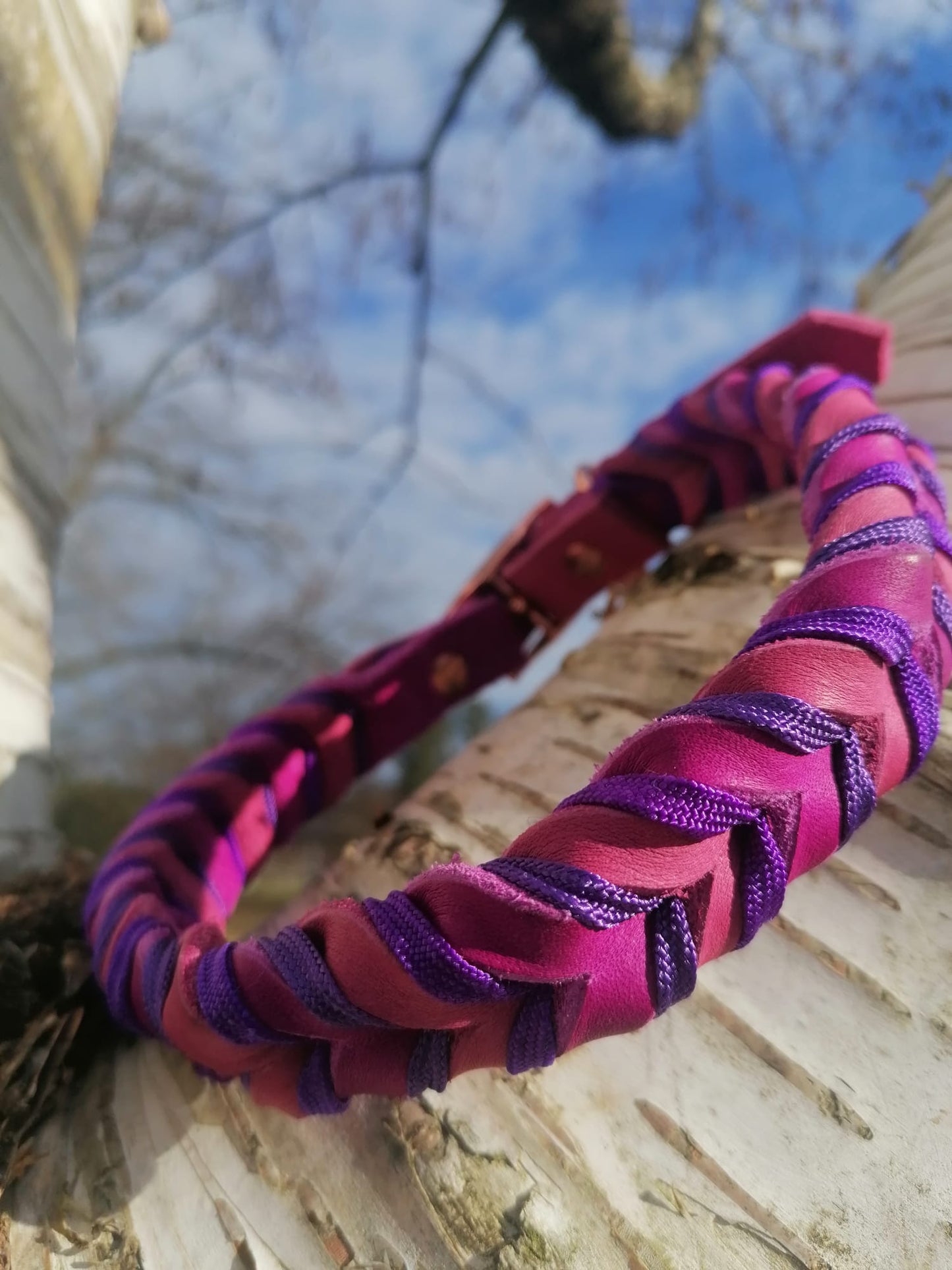 Halsband "Leder küsst Violetta"