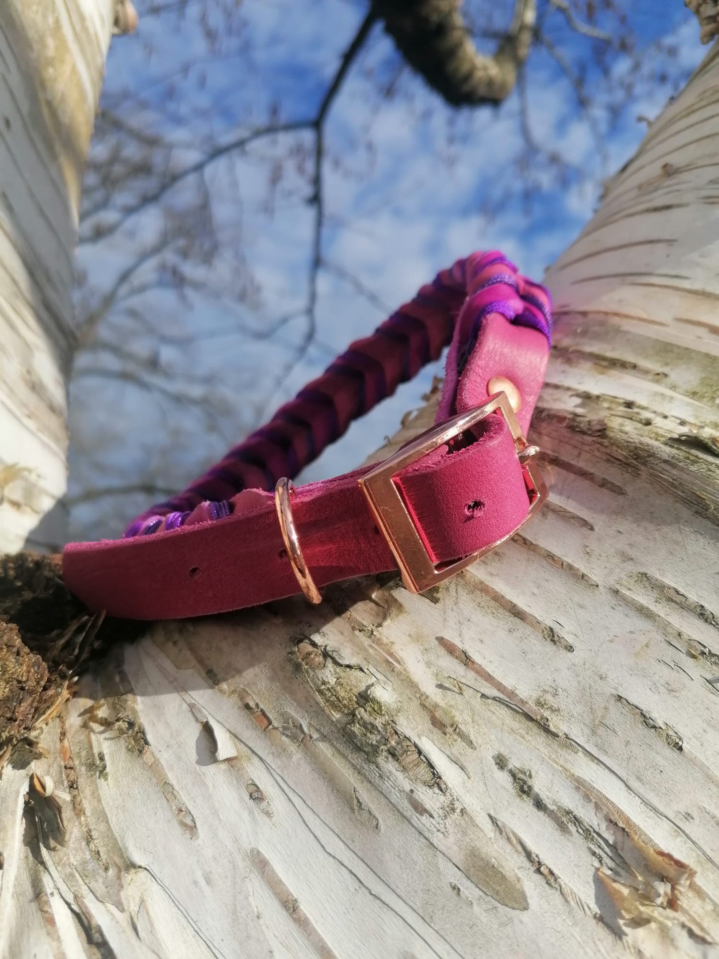 Halsband "Leder küsst Violetta"