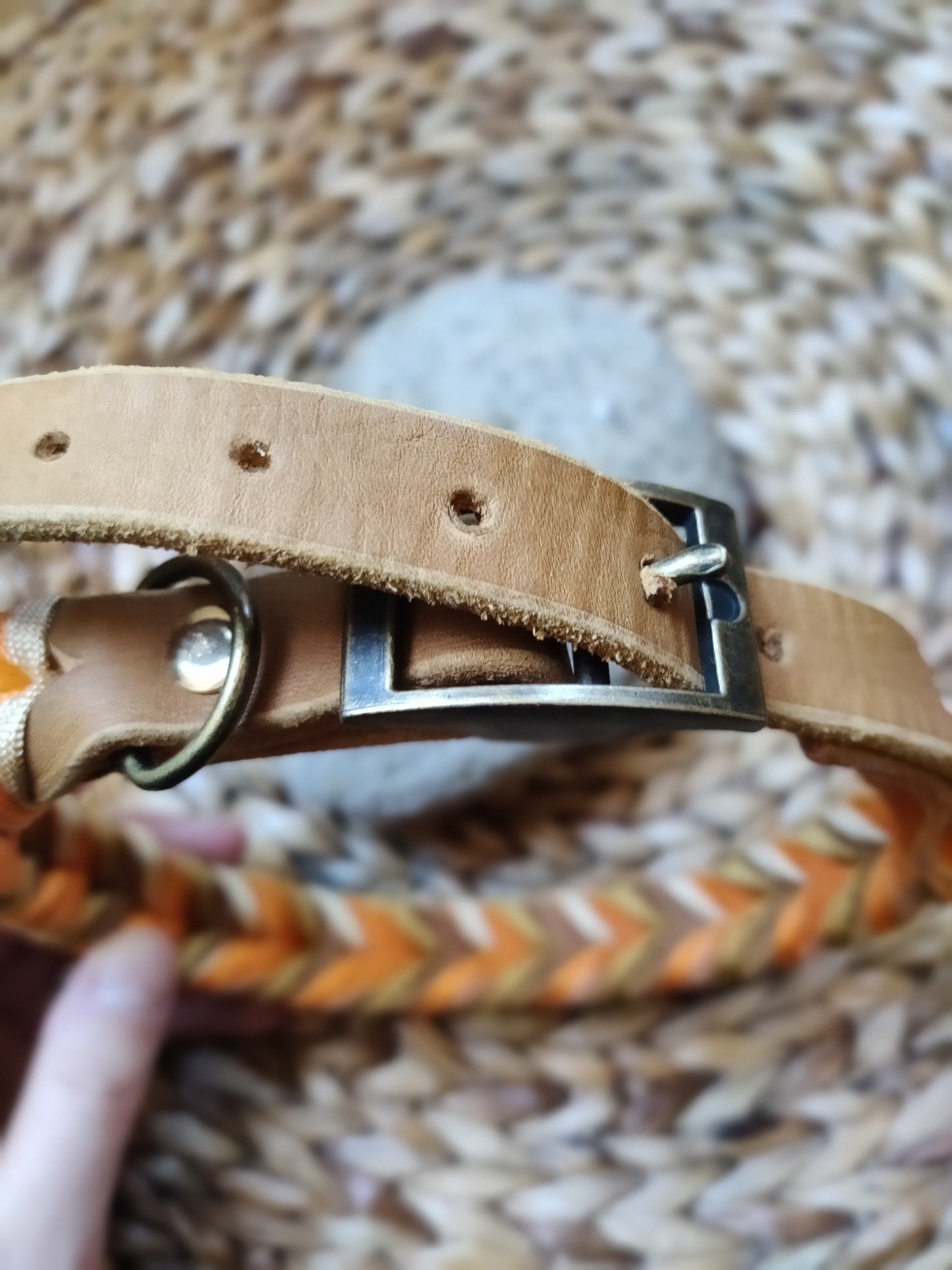 Lederhalsband Leder küsst Abendsonne