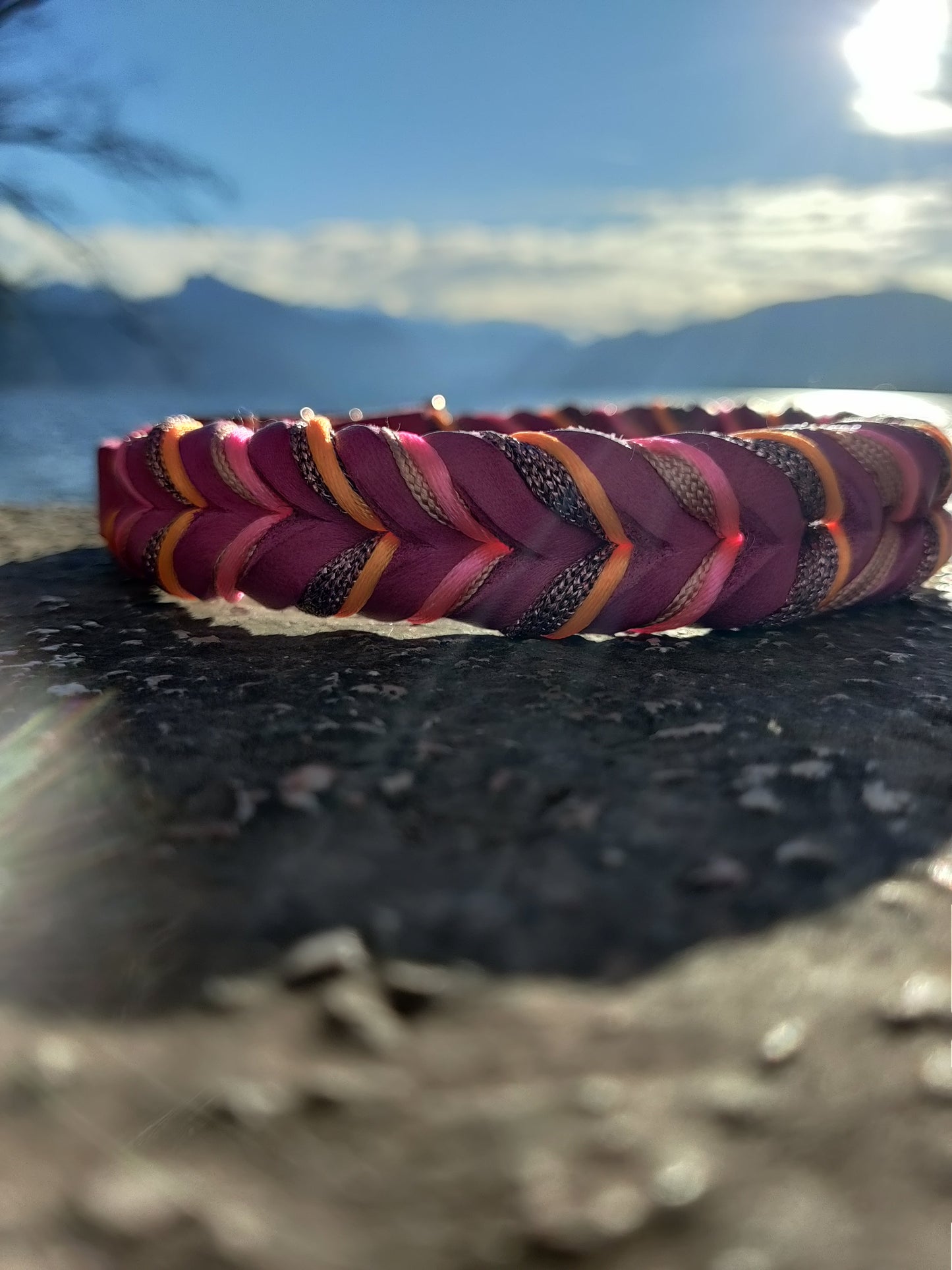 Leder küsst Pinky