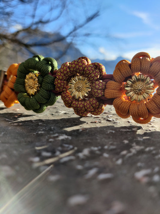 Halsband (zur Leine für große Hunde)